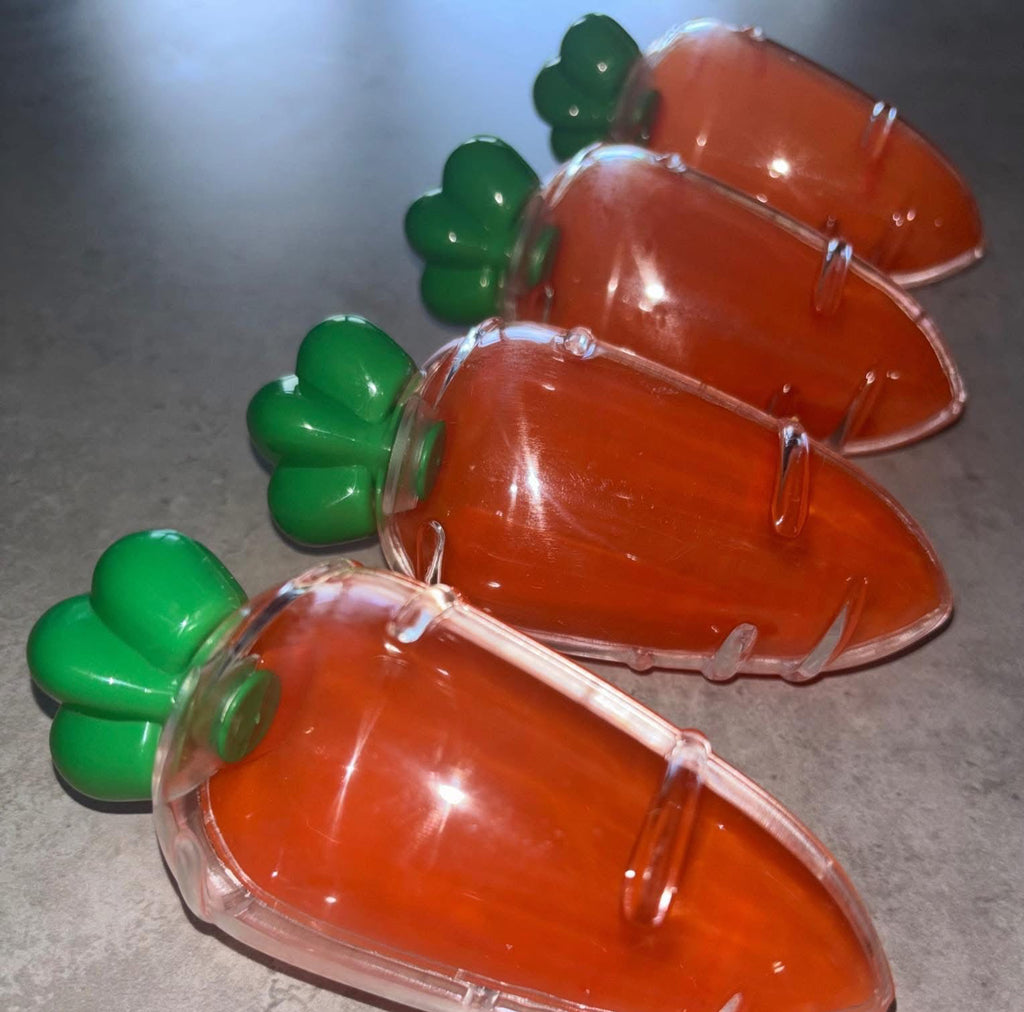 Personalised Carrot Case